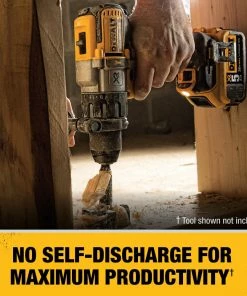 DEWALT Power Tool Batteries & Chargers XR 20-Volt Max 5 Amp-Hour Lithium Power Tool Battery -Craftsman Sales Shop 10367846