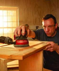 CRAFTSMAN Power Sanders V20 20-Volt Cordless Random Orbital Sander with Dust Management -Craftsman Sales Shop 18186554