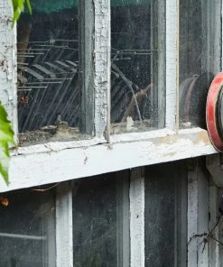 Bosch Power Sanders 18-Volt Brushless Cordless Orbital Sander with Dust Management -Craftsman Sales Shop 43569200 scaled