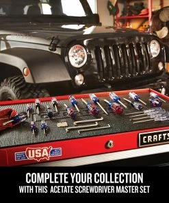 CRAFTSMAN Screwdrivers 42-Piece Acetate Handle Set Screwdriver Set -Craftsman Sales Shop 44100838